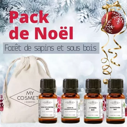 [K1582] Pack diffusion « esprit de Noël » : forêt de sapin &amp; sous bois